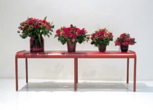 Pots de fleurs rouges sur un banc